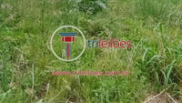 Terreno de 250 m² em Franca/SP - Oportunidade Única!