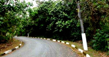 Terreno amplo no Jardim Algarve com 1.678m²