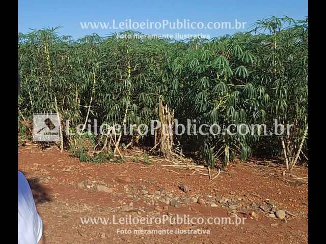 Terreno Urbano 256m² sem Benfeitorias em São Miguel do Iguaçu