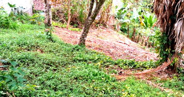 Terreno amplo com 769,1m² em Vila Amizade, ideal para construção