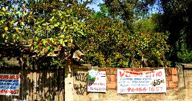 Amplo Terreno de 2699 m² com Área Total