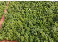 Imóvel rural com 1 hectare, área total 104.077 m², desocupado