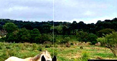 Terreno Urbano Amplo em Piraí do Sul/PR