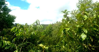 Terreno Rural Desocupado em Itamarandiba - 79,61ha
