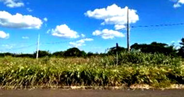 Terreno Urbano com 438,48 m² em Foz do Iguaçu - PR