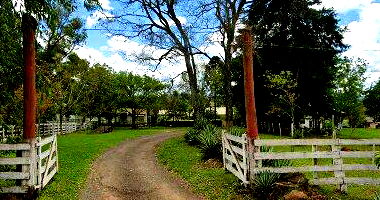 Imóvel Rural com Terras e Benfeitorias em São Pedro do Sul
