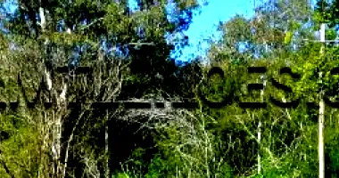 Terreno Amplo com 3.375,87 m² em Bairro Floresta