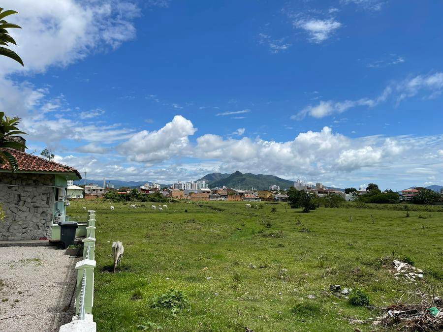 Lote desocupado com 21.293 m² de terreno, ideal para investimento