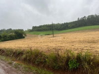Terreno rural com 40.000m² em Campina das Missões/RS