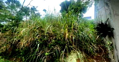 Terreno amplo na Ilha do Boi com 677m², desocupado e pronto para construir