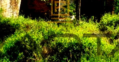 Terreno Industrial com Prédio em Porto Alegre