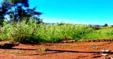 Lote de 305,16 m² em Cordilheira Alta