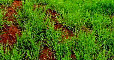 Terreno de 252m² no Loteamento Água da Esperança, sem benfeitorias