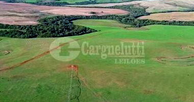 100ha de Campo em Tupanciretã/RS