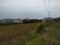 Terreno Rural com 50,6011 Hectares em Pitanga-PR