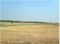 Imóvel Rural com 523,34 ha em Sorriso/MT