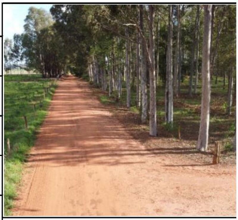 Gleba Rural com 121.000m² - Terreno amplo e desocupado