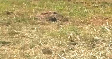 Terreno em Mariluz com 315,25 m²