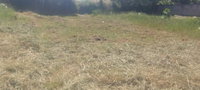Terreno em Mariluz com 315,25 m²