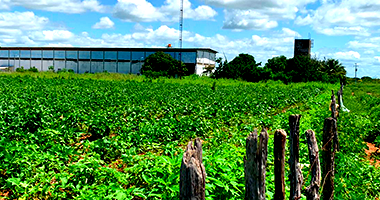 Terreno Rural em Apodi/RN - 10.000m²