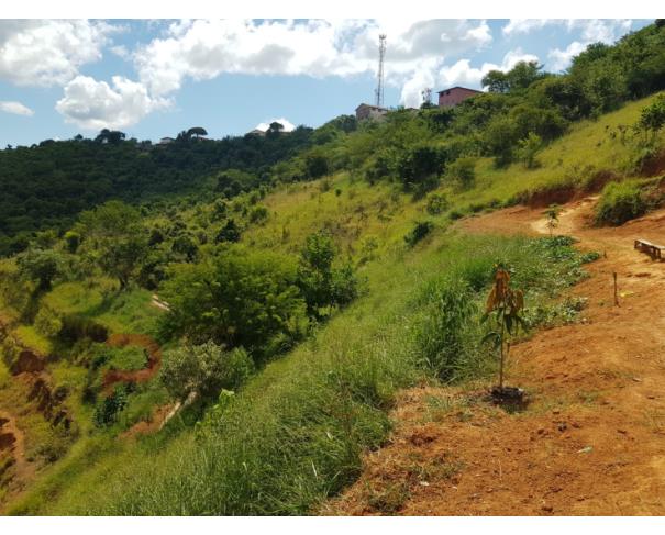 Lote de Terreno Urbano em Alto do Rio Doce - 235 m²