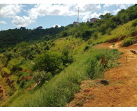 Lote de Terreno Urbano em Alto do Rio Doce - 235 m²