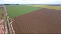 Fazenda Baús Perdido I: 400ha em MS, ideal para soja e milho