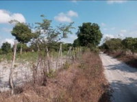Terreno com 15.345m² em Curimatã