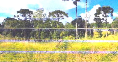 Terreno Urbano 600m² sem benfeitorias em Catanduvas, SC