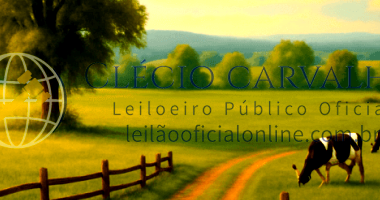 Fazenda Cachoeira dos Tomazes - 87 Ha em Cardoso/SP