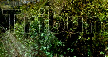 Terreno em Agudos - 1.016,49 m²