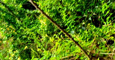 Terreno Rural com 2.840,08m² em Erechim/RS