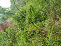 Terreno Rural com 2.840,08m² em Erechim/RS