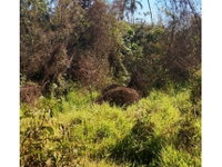 Terreno Amplo em Leilão