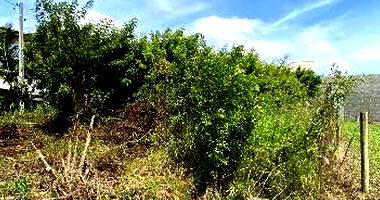 Terreno em Icara/SC com 375,12m²