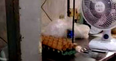 Balcão Ilha para Frios e Congelados