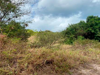 Terreno Amplo em Conde PB com 3.000m²