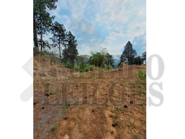 Terreno de 5.000 m² em condomínio, 50% de participação
