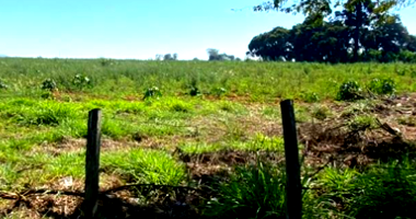 Grande imóvel com 115.200,4 m² em Araçoiaba da Serra