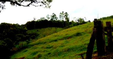 Terreno Rural com 183,33 m² em Taió/SC