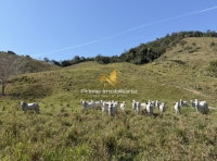 Fazenda Três Pontas com 107,49 hectares em Teófilo Otoni