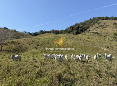Fazenda Três Pontas com 107,49 hectares em Teófilo Otoni