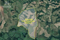 Fazenda São Sebastião - Gleba A com 730,44 Ha