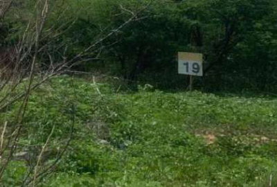 Lote 150m² em Loteamento Araras -