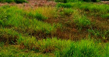 Terreno Regular de 250m² em Barra Bonita - Oportunidade Única!