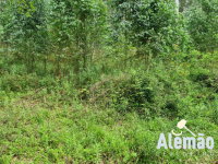 Lote Rural 119-C em Itapuca/RS - Área de 58.200m²