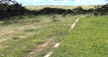 Fazenda Bonanza Rural com 474,8990 HA