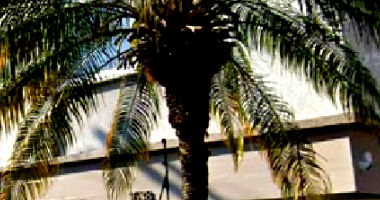 Apartamento com 3 Quartos e 2 Banheiros no Bairro Menino Deus