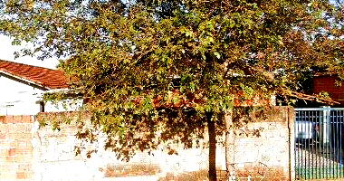 Direitos sobre terreno 360m² com 2 casas 205,35m² total