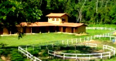 Terreno Rural com Galpão em Fraiburgo